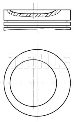 WILMINK GROUP Männät WG1201564